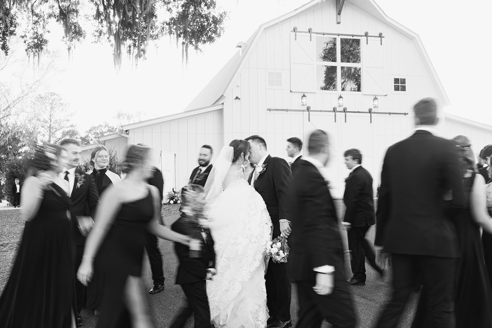 Protea Wedding Ocala